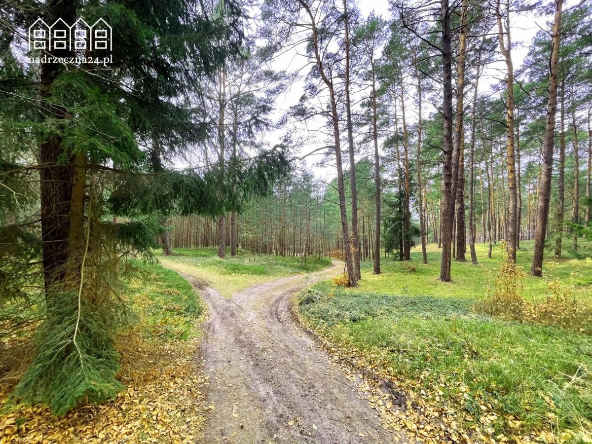 Apartamenty Nadrzeczna24 Толькмицько Екстер'єр фото
